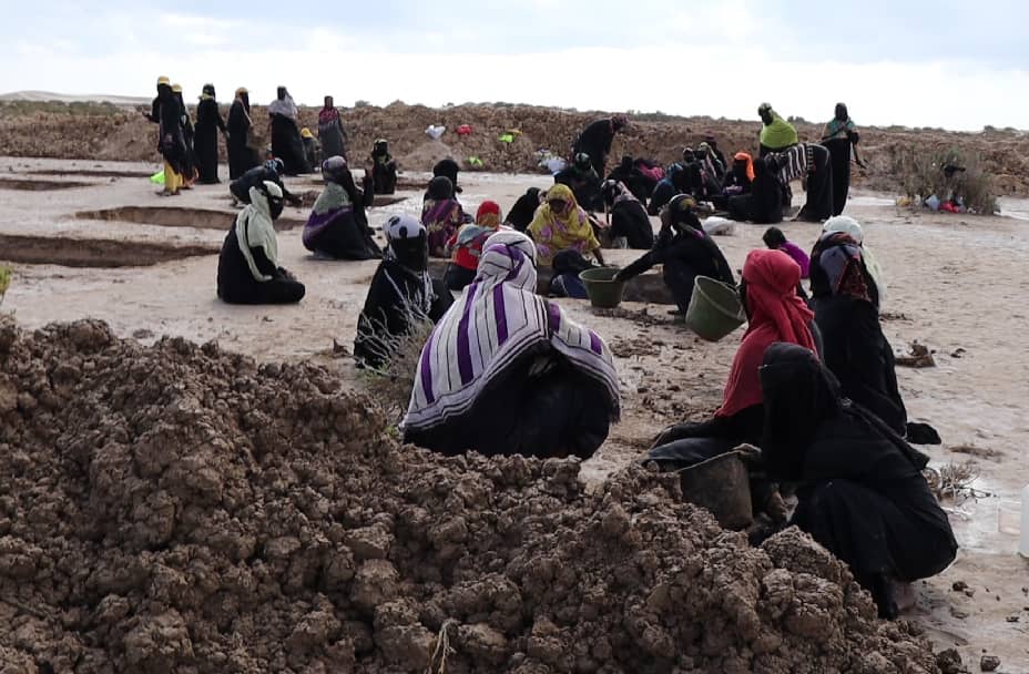 حضرموت.. نساء يستخرجن الملح لمواجهة مرارة العيش