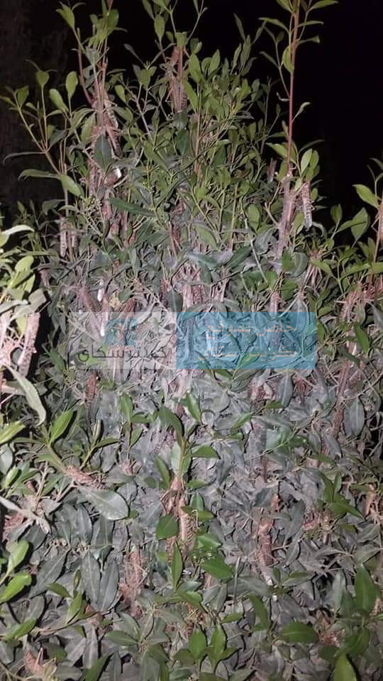 صور أولية للهجوم الذي تعرضت له صنعاء قبل قليل