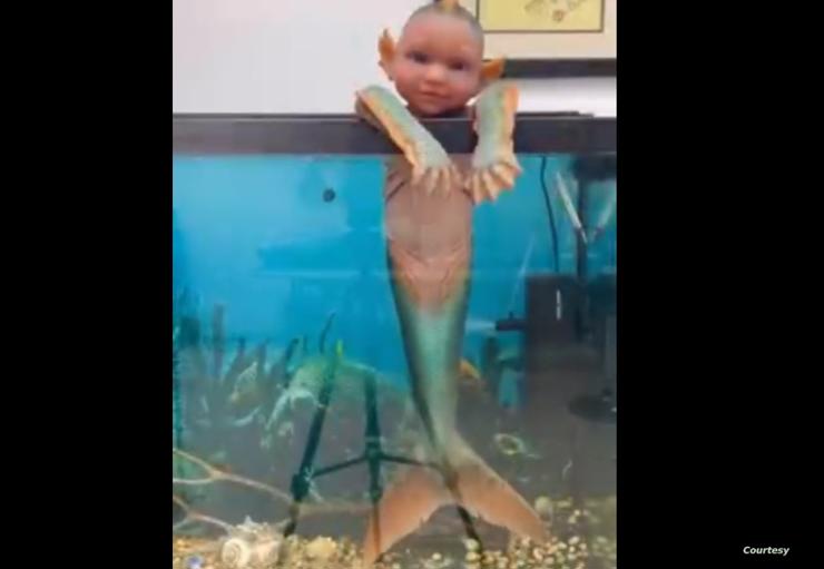 انتشار فيديو لمخلوق غريب بين الإنسان والسمكة .. تعرف على أصل الحكاية!