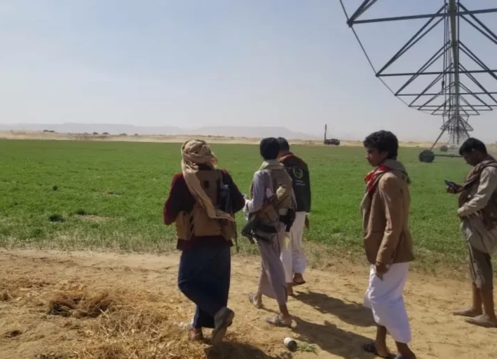 مليشيا الحوثي تجبر مكتب الزراعة بذمار على استلام وتوزيع مبيدات منتهية الصلاحية