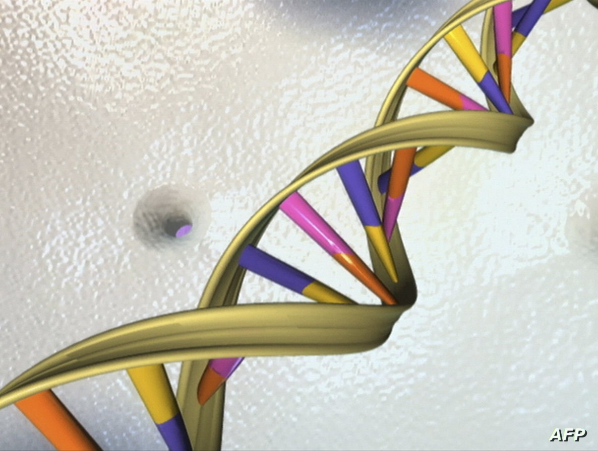 دراسة تحذر من مخاطر مُحلي صناعي شائع يدمّر الحمض النووي (تفاصيل)