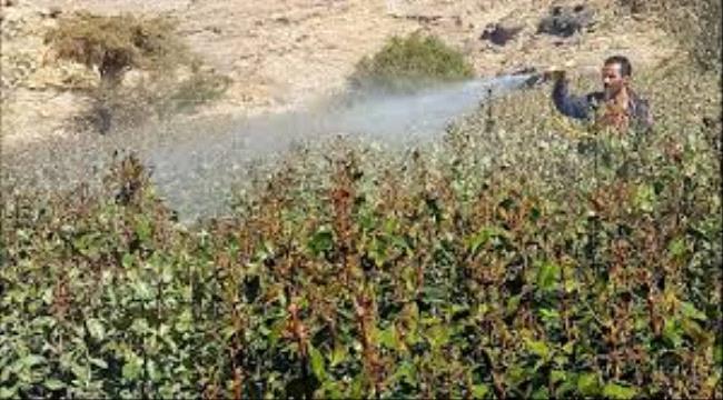 طبيب هندي شهير يكشف عن الموت القادم من إسرائيل الى اليمن والكارثة التي ستحل بهم قريبا