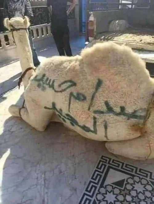 سكان المملكة يقدمون اضاحي عيديه عن روح الرئيس الشهيد صدام حسين