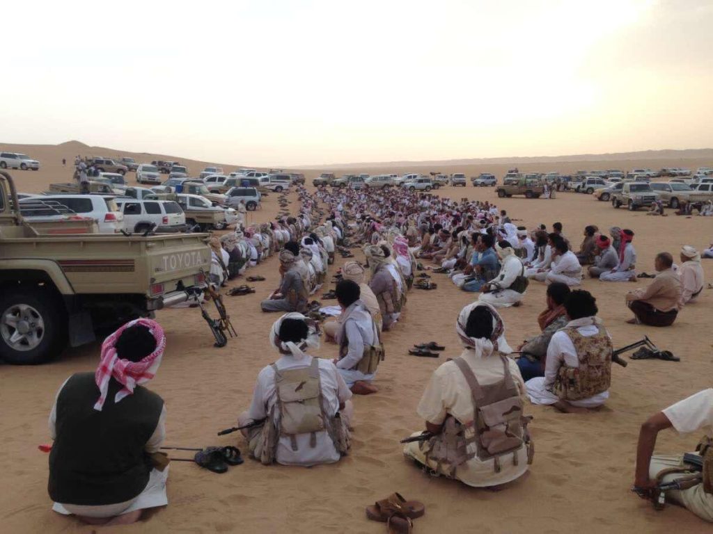قبائل في مأرب تؤكد جاهزيتها للمشاركة في معركة التحرير ضد مليشيا الحوثي