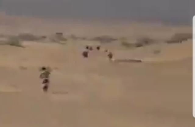 مليشيا الحوثي الانقلالية تبرر عن هزيمتها في اخر بيان لها بشبوة