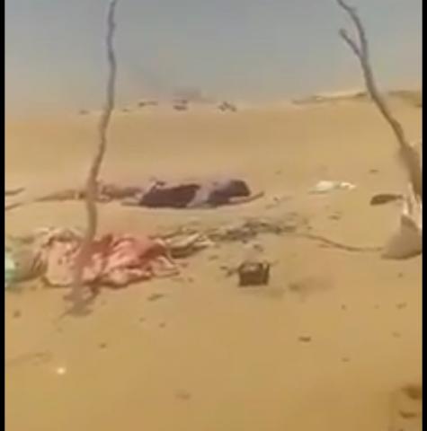 جثثهم مرمية على أرض المواجهة.. هزيمة ساحقة للحوثيين في المشجح والكسارة! 