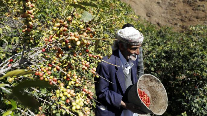 خطر يلتهم اليمن .. تغير المناخ يقوض الزراعة ويفاقم أزمة الغذاء