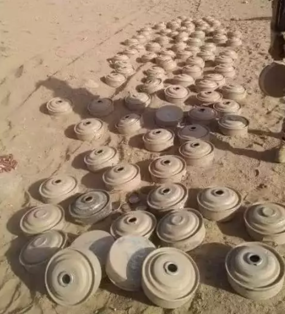 نزع 1732 لغماً وعبوة ناسفة من مخلفات الحوثيين في المناطق اليمنية المحررة منذ بداية ديسمبر