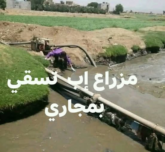 المزارع في إب وسط اليمن تسقى من مياة الصرف الصحي .. صورة