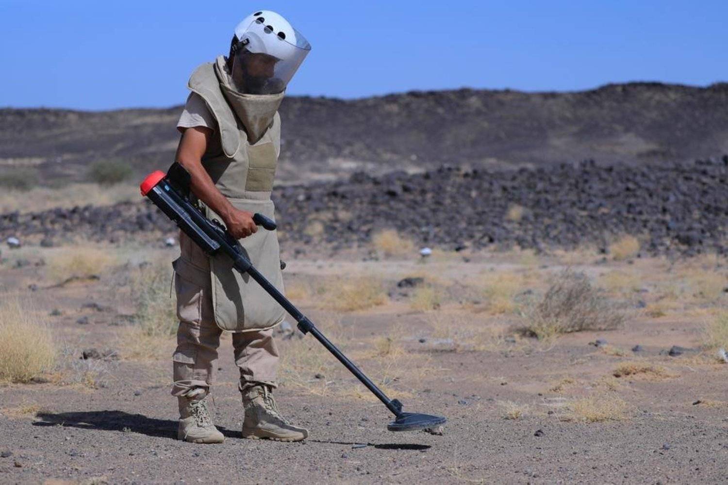 عودة لجنة نزع الألغام بمحافظة أبين للعمل بعد إقدام مليشيا الحوثي على منعها