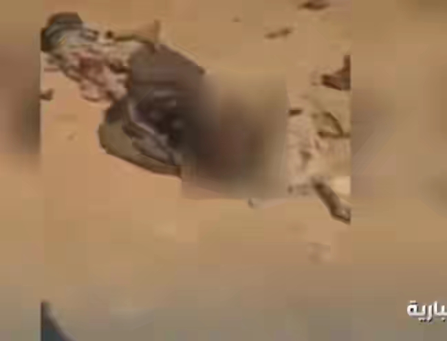شاهد .. جثث الحوثيين ملقاه على الأرض بعد مصرعها وكيف تحولت صحراء مأرب إلى مقبره لهم
