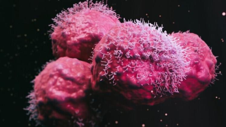 للعلاج المناعي للسرطان.. تطوير تقنية الطباعة الحيوية الثلاثية الأبعاد!