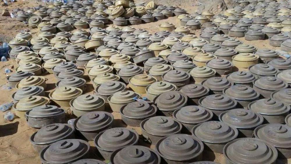 اتلاف عدد كبير من الالغام التي زرعتها مليشيا الحوثي بمديرية حرض