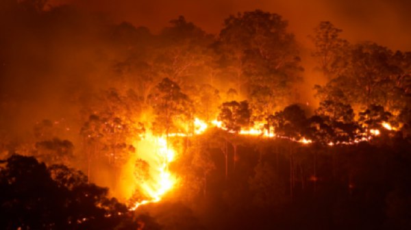 دراسة حديثة تكشف أن حرائق الغابات في كاليفورنيا مرتبطة بالتغيرات المناخية!