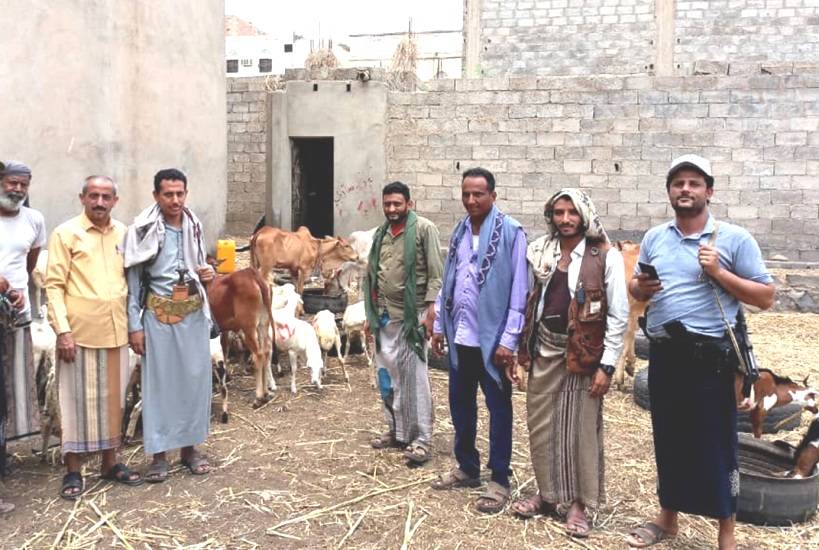 مليشيات الحوثي تفرض على ملاك المواشي تقديم الأضاحي للمقاتلين