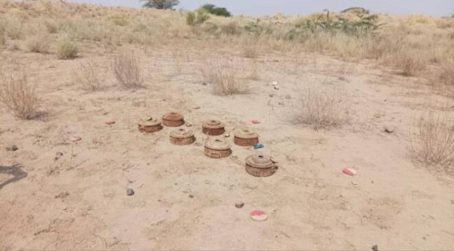 الثاني خلال يومين.. فريق هندسي يكشف عن حقل ألغام زرعته مليشيا الحوثي بهذه المحافظة!