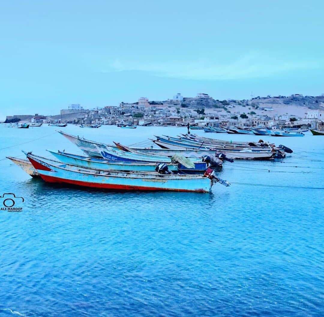 حادثة مؤلمة ..هذا ماتم العثور عليه في بحر عدن 