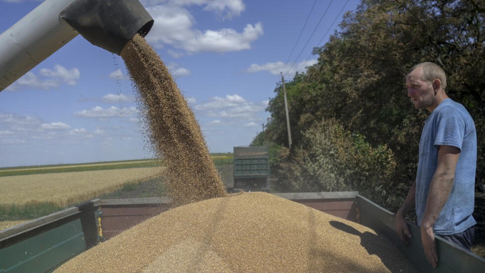 خبز العالم تحت رحمة روسيا.. ماذا تعني نهاية اتفاق تصدير الحبوب الأوكرانية؟