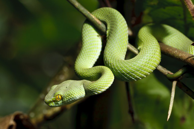 " class="main-news-image img
