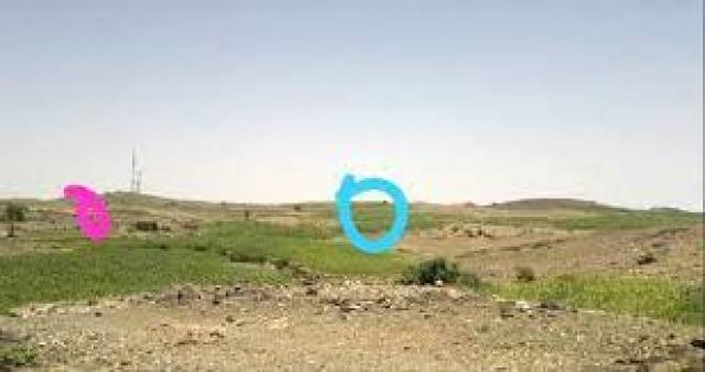 تفاصيل.. المليشيات الحوثية تدفع بتعزيزات عسكرية تجاه محافظة جنوبية