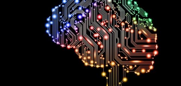 تعرف على  أذكى سبعة شعوب عربية وأقل دولة ذكاء في العالم .. وماذا عن ترتيب اليمن ؟