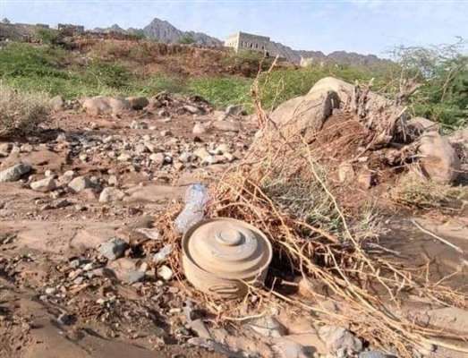 لغم حوثي يودي بحياة إمرأة وإصابة طفلين في تعز