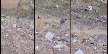 أسرة يمنية ذهبت بنزهة ترفيهيةومقيل على منظر مرتفع رائع يطل على العاصمة.. وهذا ماحدث! (شاهد الفيديو)