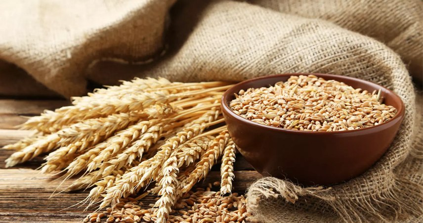 مع زيادة أسعار الغذاء.. القمح يرتفع بشكل كبير وغير مسبوق!