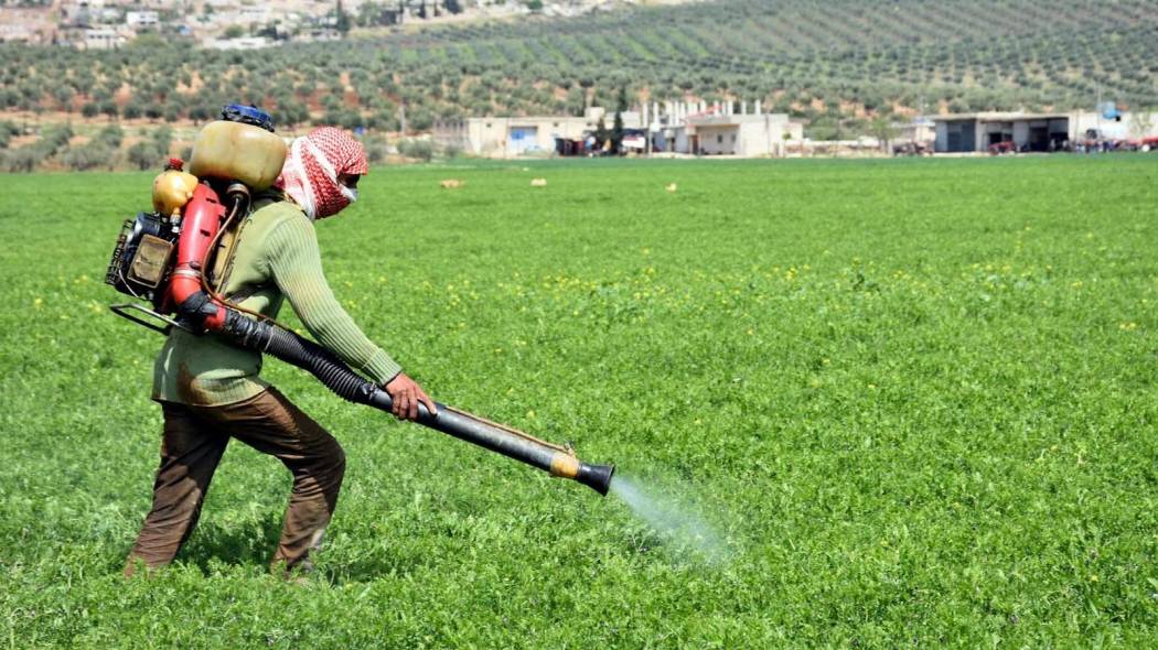 كاتب سياسي يعتبر تقليل المشاط من خطورة المبيدات الزراعية السامة انها "وقاحة"