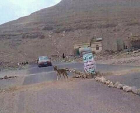 مواجهات في صنعاء تنذر بإنتفاضة مسلحة ضد مليشيا الحوثي واشتباكات في بعض شوارعها