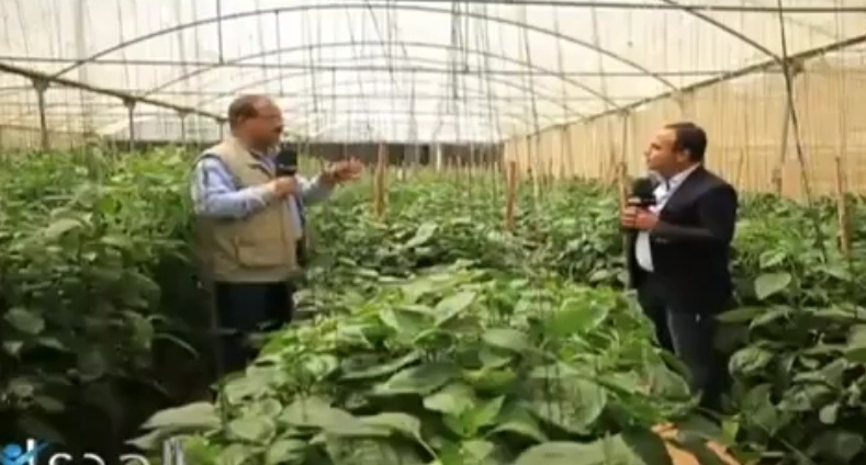 خبير زراعي مصري يفضح تبريرات المشاط بشأن المبيدات المسرطنة
