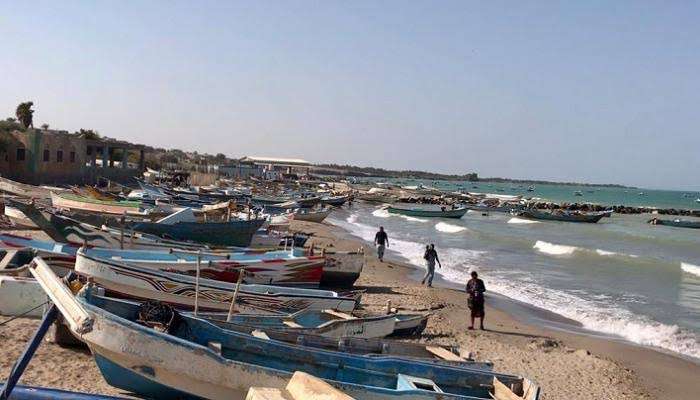 هذا ما قامت به مليشيا الحوثي شمال الحديدة