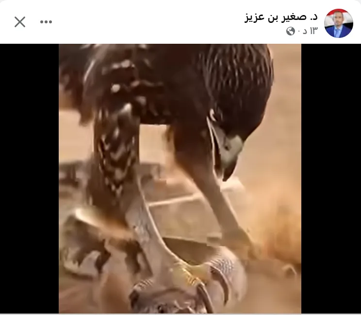 رئيس اركان الجيش اليمني يعلن نهاية الحوثي ويوجه هذ الرسالة ! .. صورة وفيديو