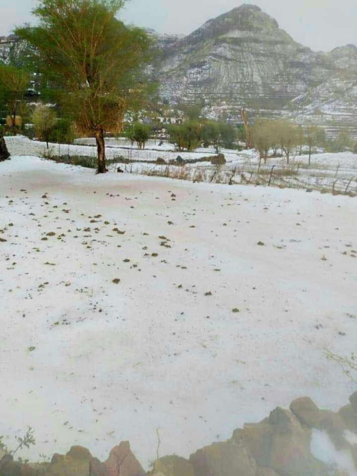 شاهد الثلوج تغطي مديرية بالكامل في اليمن