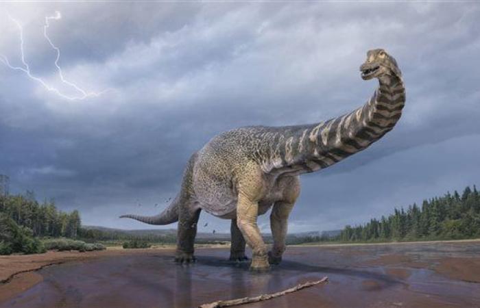 دراسة حديثة: وجود ديناصور له رأس مسطح عاش منذ ملايين السنين