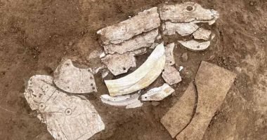 اكتشاف زخارف تنين قديم يلقى الضوء على ثقافة العصر الحجري الحديث..